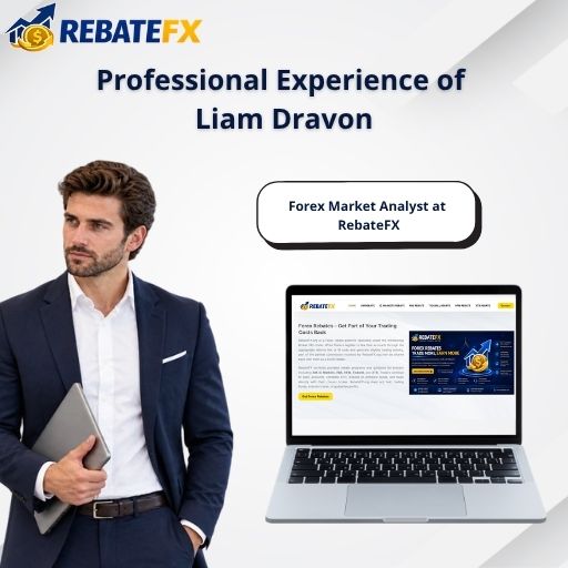Professional Experience of Liam Dravon